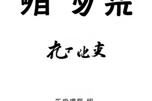 网友观点拼盘封面，多立场色块拼合图案