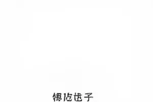 今日热梗拼图封面，四格拼图与话题标签